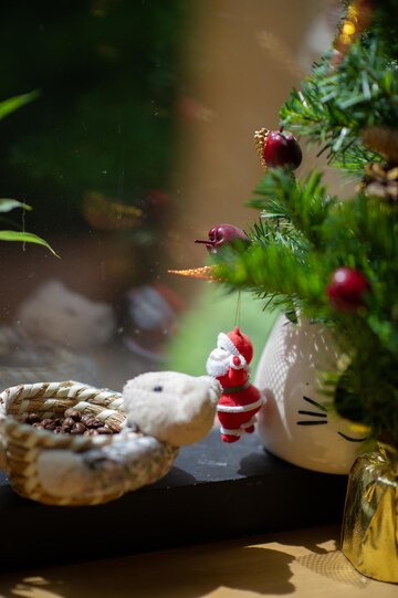 pine tree bird suet fruit and nuts